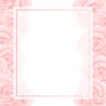 Beautiful Pink Rose Banner Card Border - Rosa isolated on White Background. Valentine Day. Vector Illustration