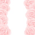 Beautiful Pink Rose Border - Rosa isolated on White Background. Valentine Day. Vector Illustration Royalty Free Stock Photo