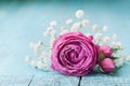 Beautiful pink rose flower and gypsophilla on turquoise vintage table. Royalty Free Stock Photo