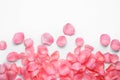 Beautiful pink rose flower petals on white background, top view Royalty Free Stock Photo