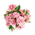 Beautiful pink rose flowers arrangement isolated on white background Royalty Free Stock Photo