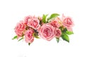 Beautiful pink rose flowers arrangement isolated on white background Royalty Free Stock Photo