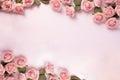 Beautiful pink rose flowers border. Romantic gift wallpaper with space for text. Light gentle pink color bouquet garden
