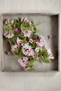Beautiful pink and rose flowers on wood plate Royalty Free Stock Photo