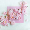 Beautiful pink, rose peonies decorated on white wood table Royalty Free Stock Photo