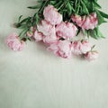 Beautiful pink, rose peonies on wood plate Royalty Free Stock Photo