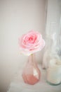 Beautiful pink rose in a stylish vase. Royalty Free Stock Photo