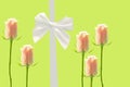 Beautiful pink rosebuds and a white ribbon with a bow on a green background close up