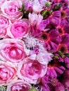Beautiful pink roses and bright pink gerbera daisies. Royalty Free Stock Photo