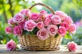 Beautiful Pink Roses Bunch in the Basket Royalty Free Stock Photo