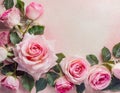 Beautiful pink roses flower border on soft background for valentine or wedding card in pastel tone ,copy space for text Royalty Free Stock Photo