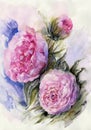 Beautiful pink roses flowers with green leaves on blurred watercolor background. Watercolor painting. Hand drawn illustration