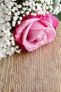 Beautiful pink roses and Gypsophila (Baby's-breath flowers). Royalty Free Stock Photo
