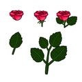 Beautiful pink roses,leaves jpg, png