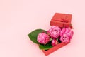 Beautiful pink roses in red gift box on pink background. Mother's day gift box with beautiful pink roses. Gift box with rose Royalty Free Stock Photo