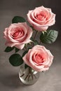 Beautiful pink roses in vase on grey background, closeup. Royalty Free Stock Photo