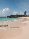 Beautiful pink sand beach in Bermuda Royalty Free Stock Photo