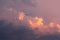 Beautiful pink sky with big clouds Royalty Free Stock Photo