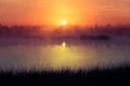 A beautiful, pink sunrise ower the swamp. Sun rising in wetlands, purple misty atmosphere.