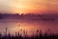 A beautiful, pink sunrise ower the swamp. Sun rising in wetlands, purple misty atmosphere.