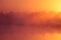 A beautiful, pink sunrise ower the swamp. Sun rising in wetlands, purple misty atmosphere.