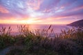 A beautiful pink sunset on the Big Sur coastline of California Central Coast. Colorful cloudy sky, quiet Pacific ocean, and native Royalty Free Stock Photo