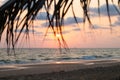 Beautiful pink sunset over sea with palm leaves, background Royalty Free Stock Photo