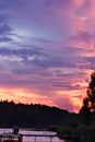 Beautiful pink sunset by the river