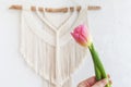 Beautiful pink tulip against handmade macrame wallhanging. ECO friendly modern concept in the interior