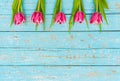 Beautiful pink tulips border on light blue wood for Valentines Day or Mother Day background Royalty Free Stock Photo