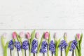 Beautiful pink tulips and hyacinths on plank background