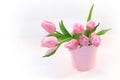 Beautiful pink tulips in the vase