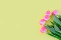 Beautiful pink tulips on a yellowpastel background.Spring bouquet. Love concept, Valentine`s day, Mother`s day, International