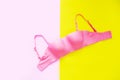 Beautiful Pink Underwear on Yellow and Pink Color Pastel for Valentine is Day. Set of Accessory Lingerie Bikini Fabric