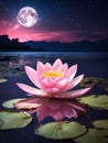 Beautiful pink water lily blossom at night under full moon Royalty Free Stock Photo