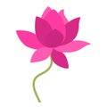 Beautiful pink water lily. Flat design for poster or t-shirt. Vector illustration Royalty Free Stock Photo