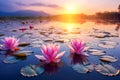 Beautiful pink water lily or lotus flower blooming on the lake at sunset. Generative AI Royalty Free Stock Photo