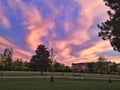 Beautiful pink yellow red purple evening sky clouds in Toronto city, Canada. Landscape scene view with residential area road and Royalty Free Stock Photo