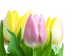 Beautiful pink and yellow tulip bouqet