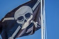 Beautiful pirate flag
