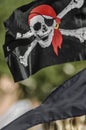 Beautiful pirate flag