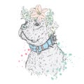 A Beautiful Pit Bull In A Wreath Of Flowers. Vector Illustration For A Postcard Or A Poster, Print On Clothes, A Cover Or A Bag.