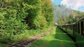 Beautiful Pitoresque View Of Old Train In The Nature