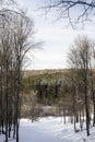 View from the mountain to the winter forest on a Sunny day