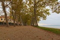 Beautiful Plane tree alley near Lake Balaton during sunset. Famous touristic place and romantic travel destination.