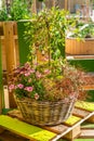Beautiful plant pot basket for garden, patio or terrace with different flower and plants