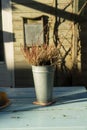 Beautiful plant warm atmosphere in a pot outside on blue garden table.