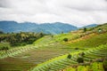 Beautiful plantation farm on moutain