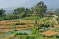 Beautiful plantation village at Indonesia Royalty Free Stock Photo