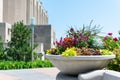 Beautiful Planter with Colorful Flowers at Loyola University Chicago